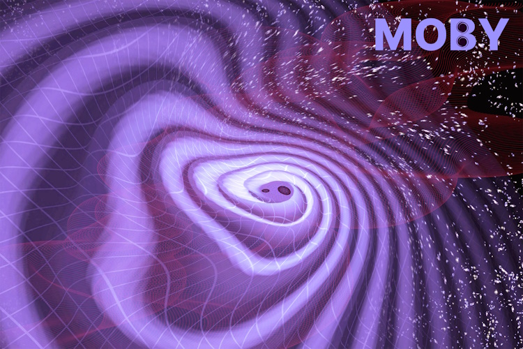 MOBY - Modeling Binary Systems That End in Stellar Mergers and Give Rise to Gravitational Waves
